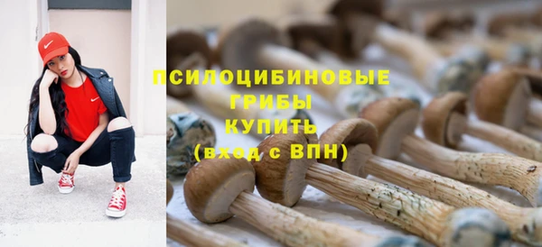 мдпв Липки