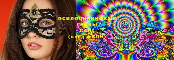 2c-b Лабытнанги