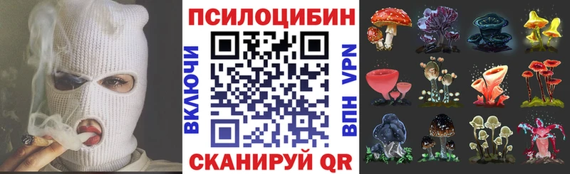 Галлюциногенные грибы Psilocybine cubensis  Черемхово 