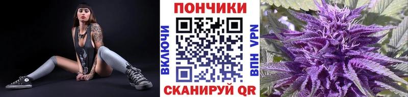 ОМГ ОМГ зеркало  Черемхово  Конопля ГИДРОПОН 